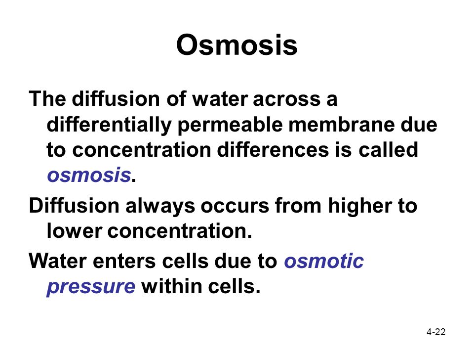 4-22 Osmosis The diffusion of water across a differentially permeable membrane due to concentration differences is called osmosis.