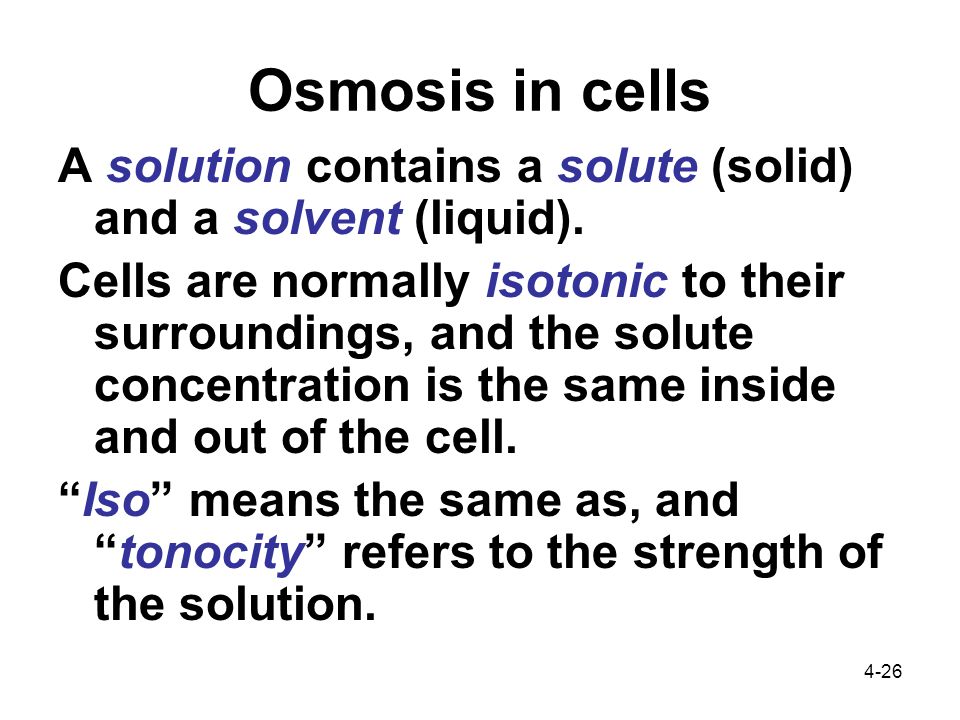 4-26 Osmosis in cells A solution contains a solute (solid) and a solvent (liquid).