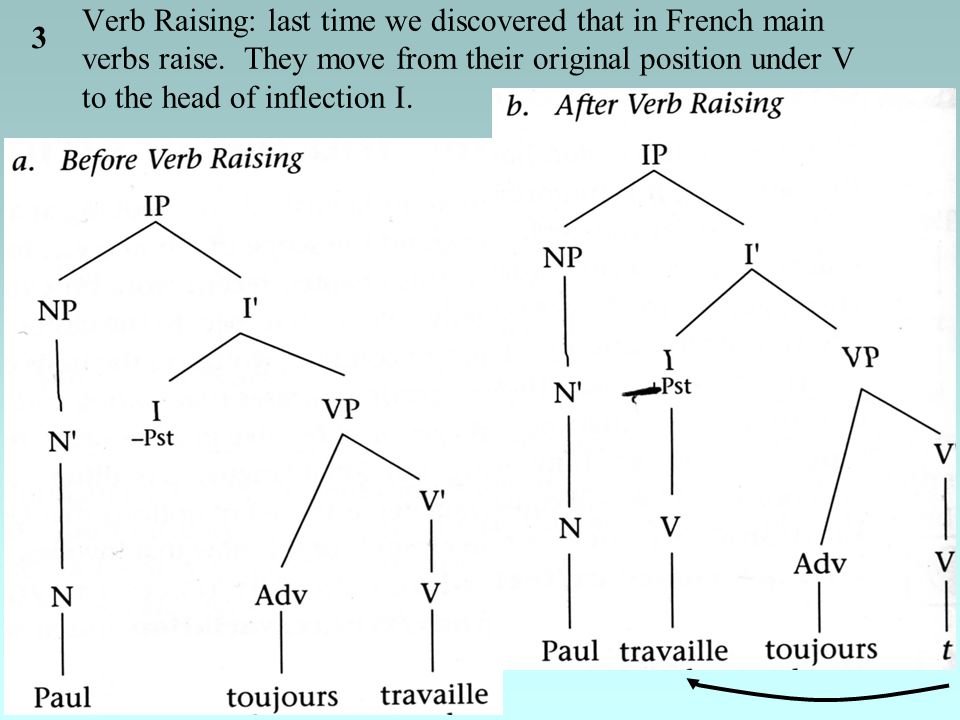 3 Verb Raising: last time we discovered that in French main verbs raise.