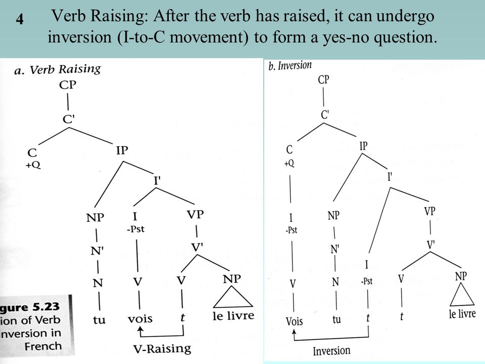 4 Verb Raising: After the verb has raised, it can undergo inversion (I-to-C movement) to form a yes-no question.