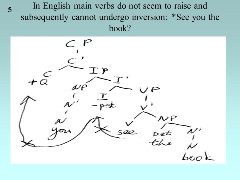 5 In English main verbs do not seem to raise and subsequently cannot undergo inversion: *See you the book