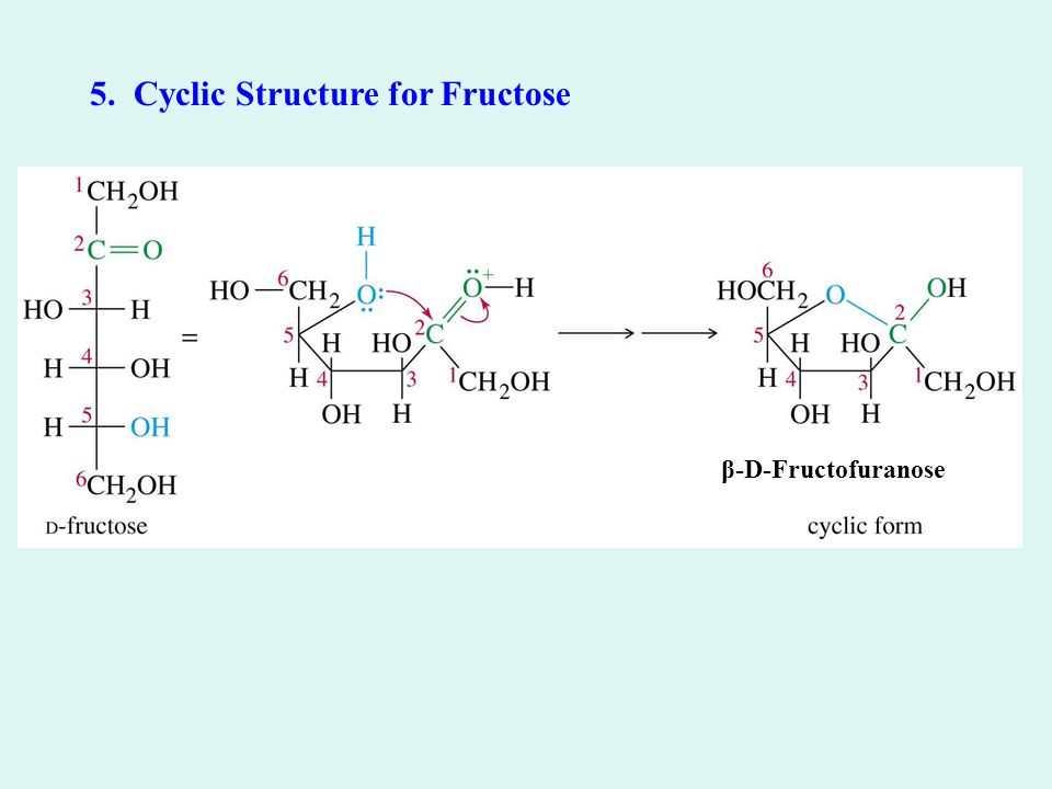 5. Cyclic Structure for Fructose β-D-Fructofuranose