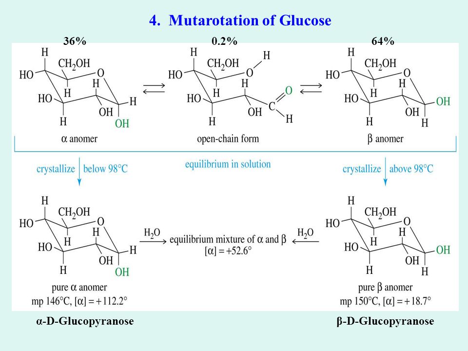 4. Mutarotation of Glucose 64%36%0.2% β-D-Glucopyranoseα-D-Glucopyranose