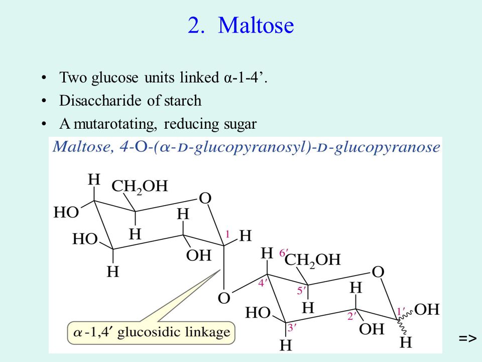 2. Maltose Two glucose units linked α-1-4’.