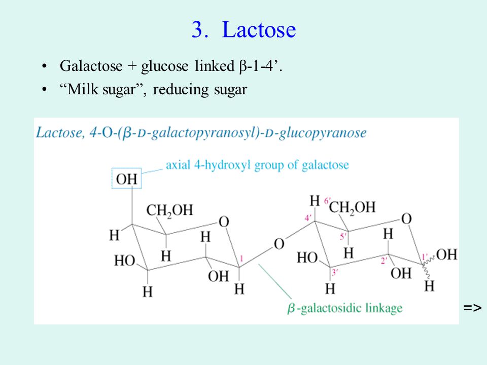 3. Lactose Galactose + glucose linked β-1-4’. Milk sugar , reducing sugar =>
