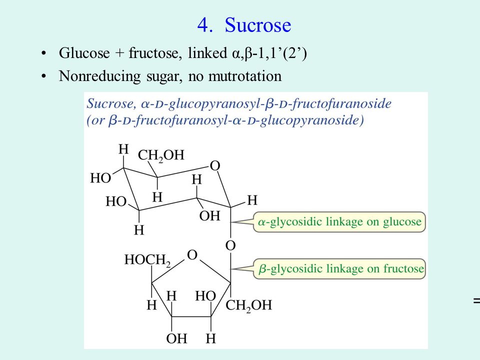 4. Sucrose Glucose + fructose, linked α,β-1,1’(2’) Nonreducing sugar, no mutrotation =>