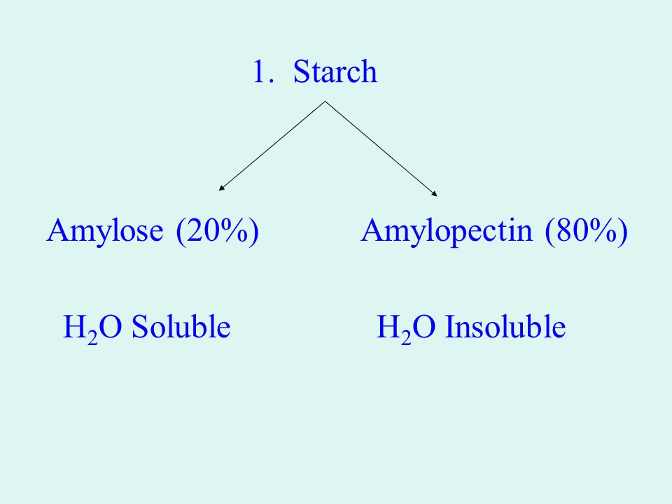 1. Starch Amylose (20%) Amylopectin (80%) H 2 O Soluble H 2 O Insoluble