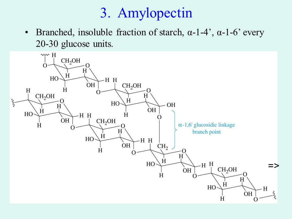 3. Amylopectin Branched, insoluble fraction of starch, α-1-4’, α-1-6’ every glucose units. =>