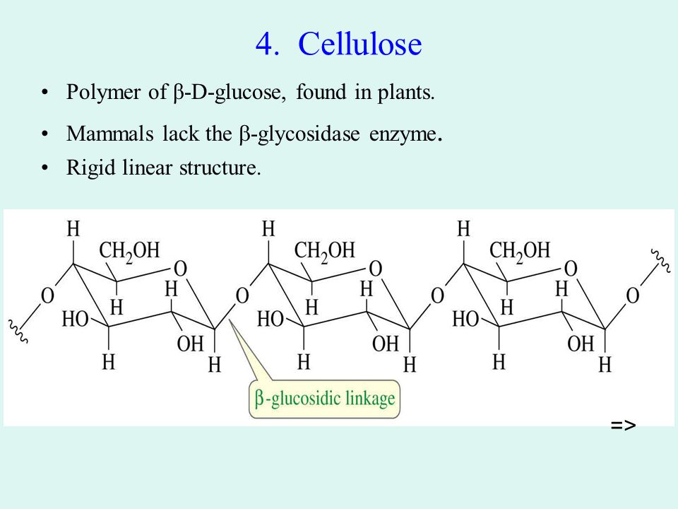 4. Cellulose Polymer of β-D-glucose, found in plants.