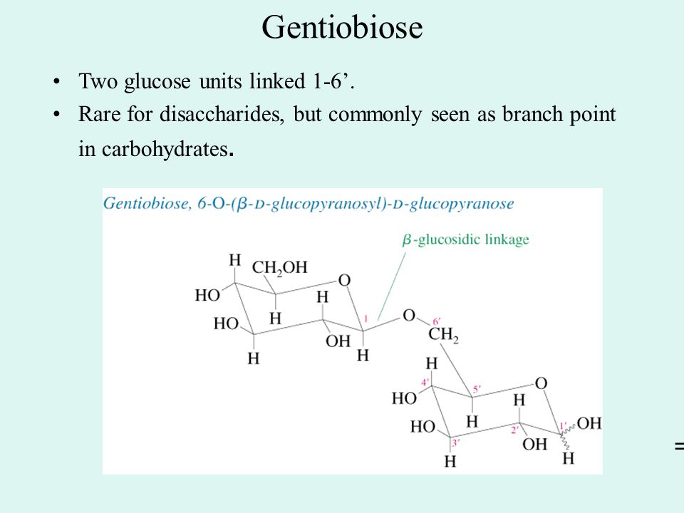 Gentiobiose Two glucose units linked 1-6’.