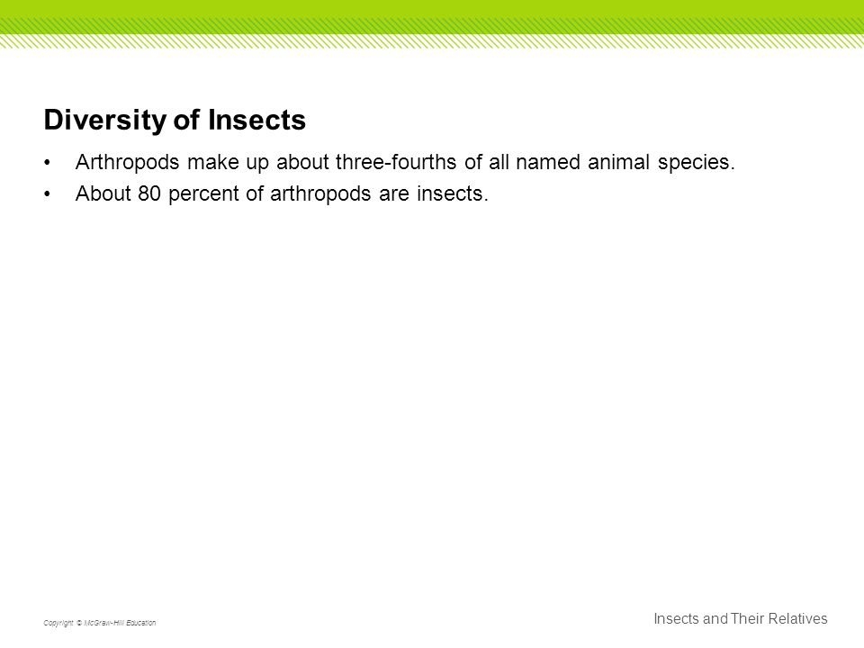 Diversity of Insects Arthropods make up about three-fourths of all named animal species.
