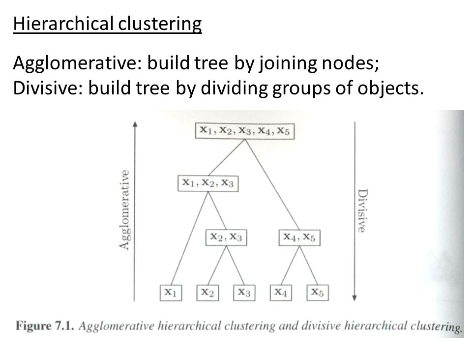 Hierarchical clustering Agglomerative: build tree by joining nodes; Divisive: build tree by dividing groups of objects.