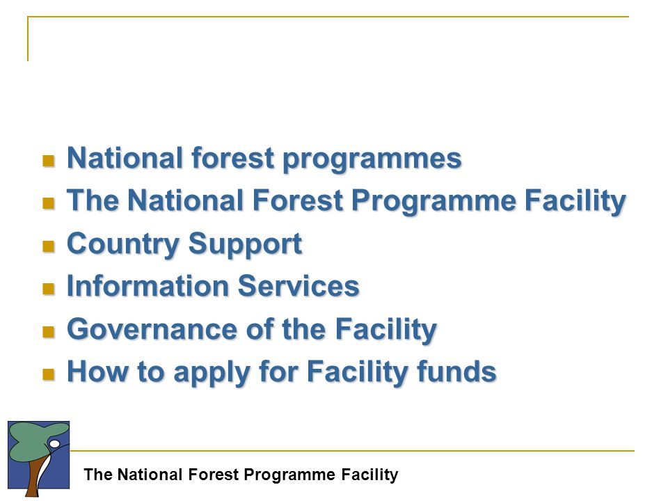 The National Forest Programme Facility National forest programmes National forest programmes The National Forest Programme Facility The National Forest Programme Facility Country Support Country Support Information Services Information Services Governance of the Facility Governance of the Facility How to apply for Facility funds How to apply for Facility funds