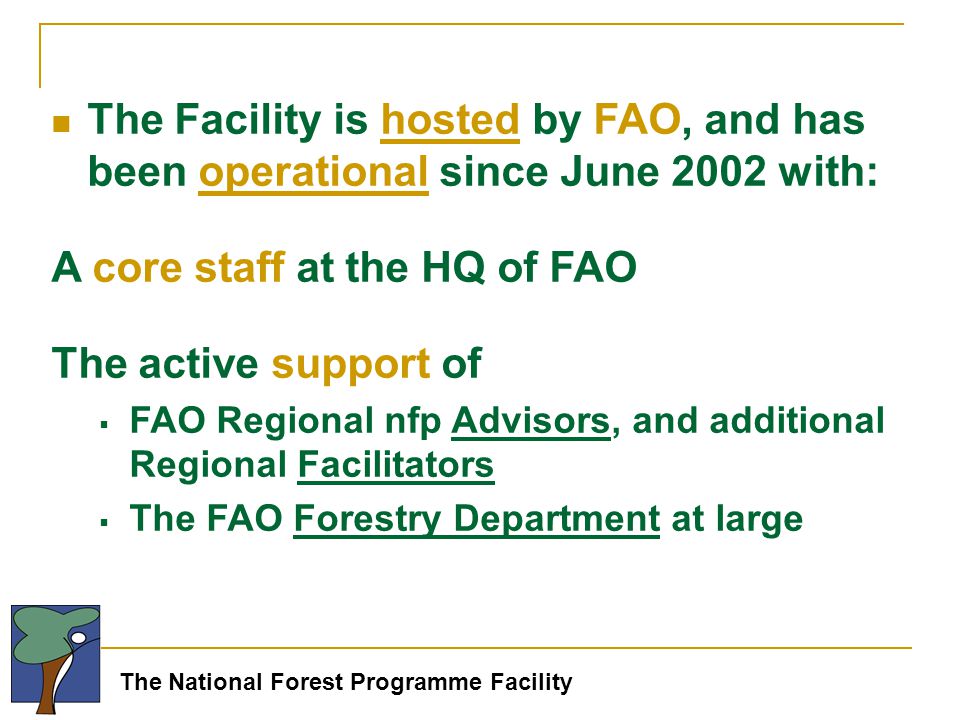 The National Forest Programme Facility The Facility is hosted by FAO, and has been operational since June 2002 with: A core staff at the HQ of FAO The active support of  FAO Regional nfp Advisors, and additional Regional Facilitators  The FAO Forestry Department at large