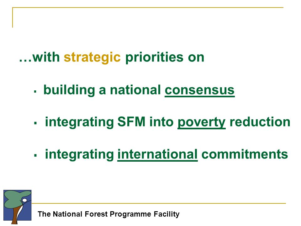 The National Forest Programme Facility …with strategic priorities on  building a national consensus  integrating SFM into poverty reduction  integrating international commitments