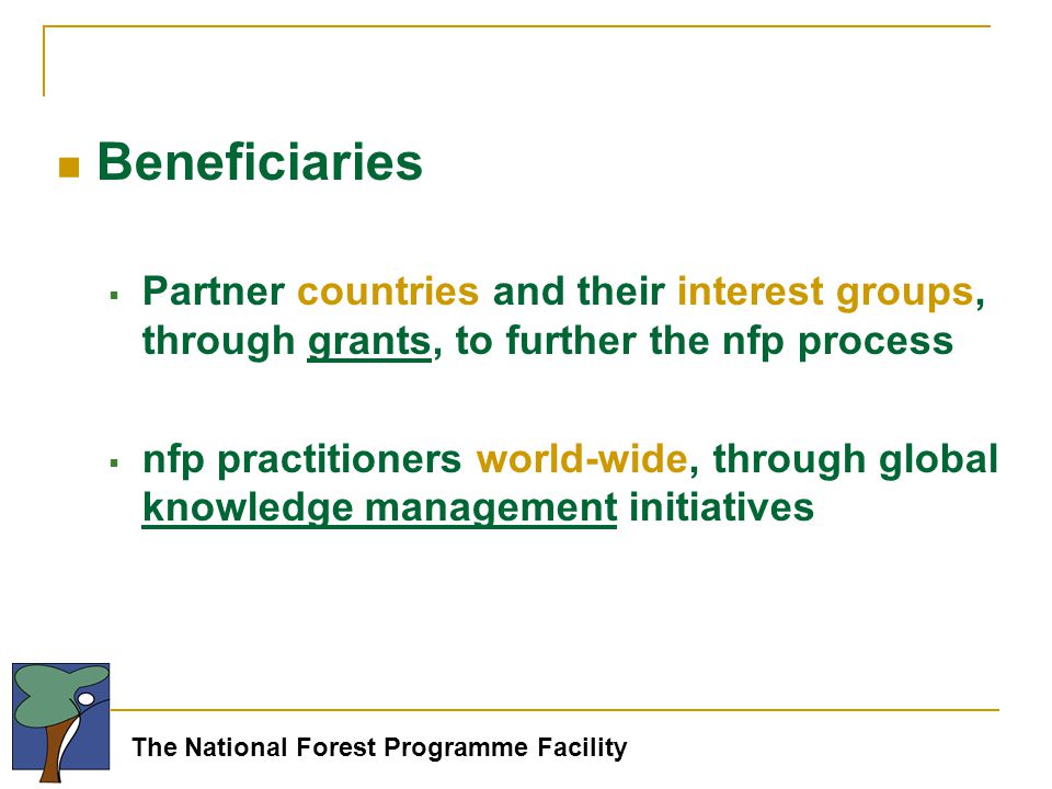 The National Forest Programme Facility Beneficiaries  Partner countries and their interest groups, through grants, to further the nfp process  nfp practitioners world-wide, through global knowledge management initiatives