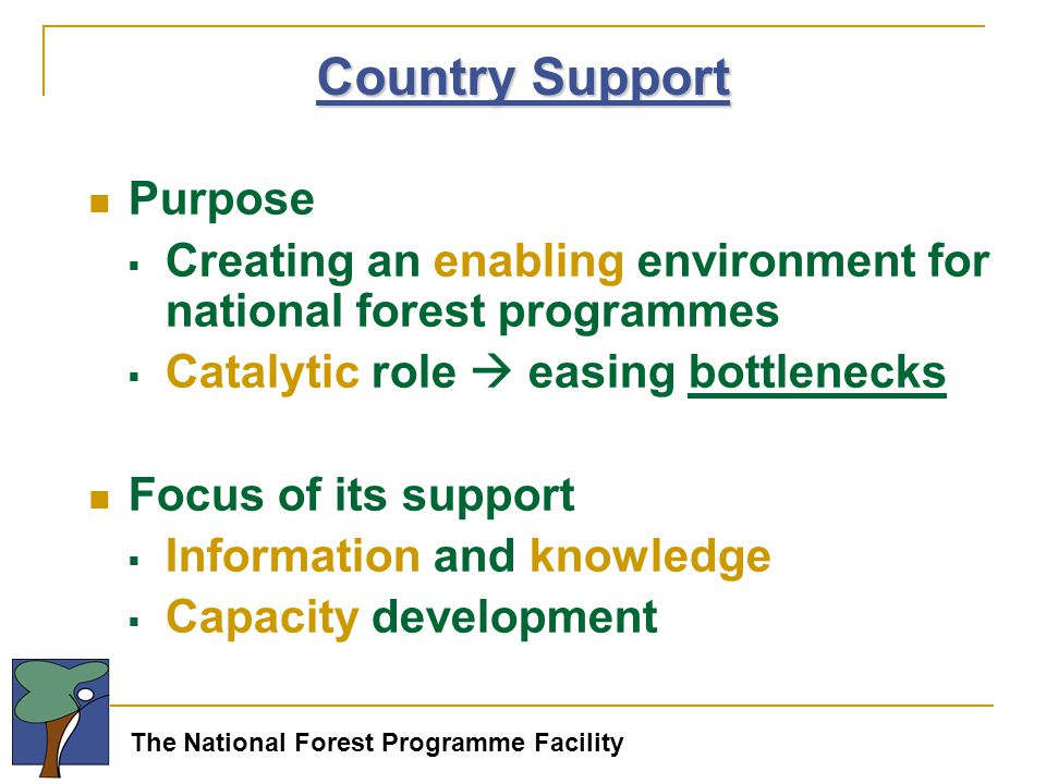 The National Forest Programme Facility Country Support Purpose  Creating an enabling environment for national forest programmes  Catalytic role  easing bottlenecks Focus of its support  Information and knowledge  Capacity development