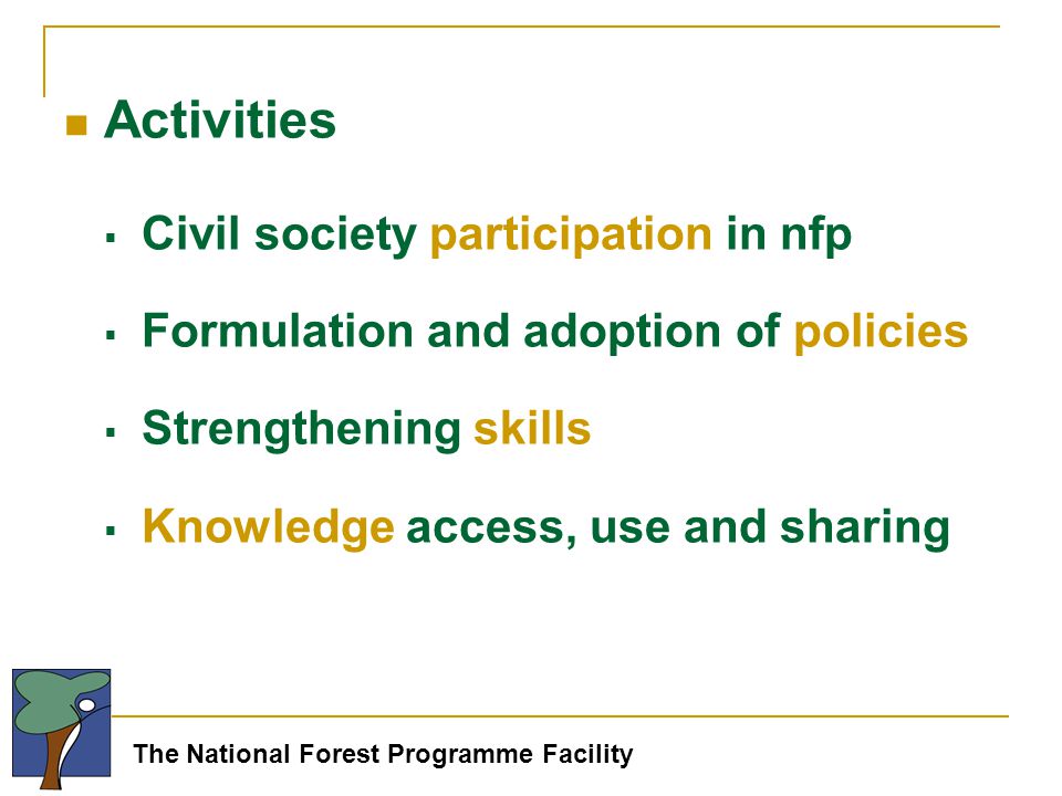 The National Forest Programme Facility Activities  Civil society participation in nfp  Formulation and adoption of policies  Strengthening skills  Knowledge access, use and sharing