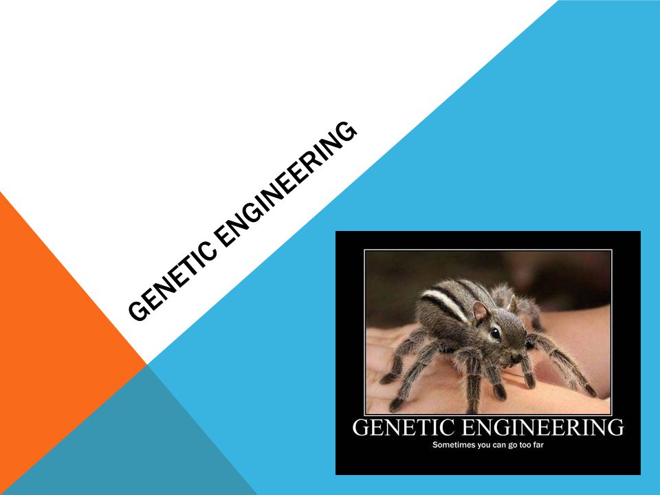 GENETIC ENGINEERING