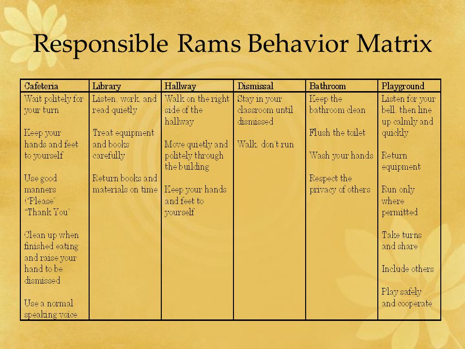 Responsible Rams Behavior Matrix
