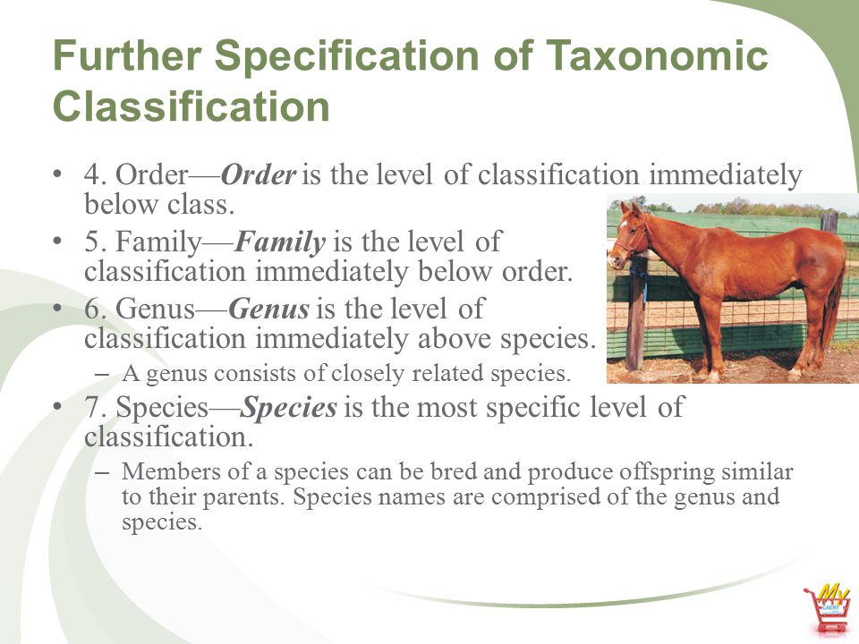 What is hierarchical taxonomy and how are animals classified? Taxonomy is  the science of identifying and naming organisms. The classification of  organisms. - ppt download