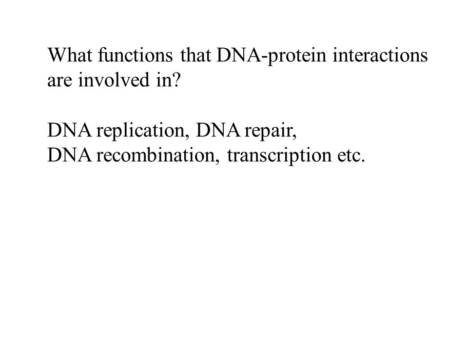 What functions that DNA-protein interactions are involved in.
