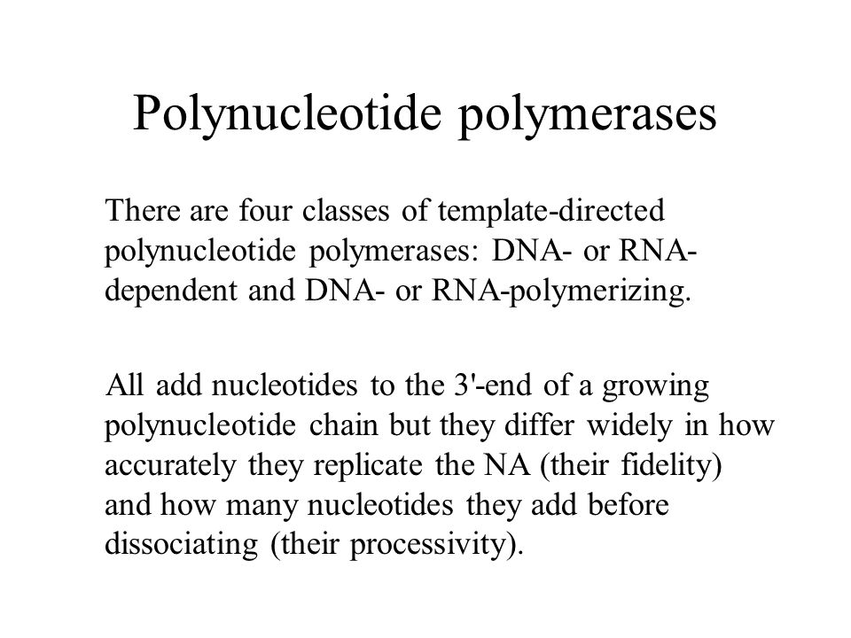 Polynucleotide polymerases There are four classes of template-directed polynucleotide polymerases: DNA- or RNA- dependent and DNA- or RNA-polymerizing.