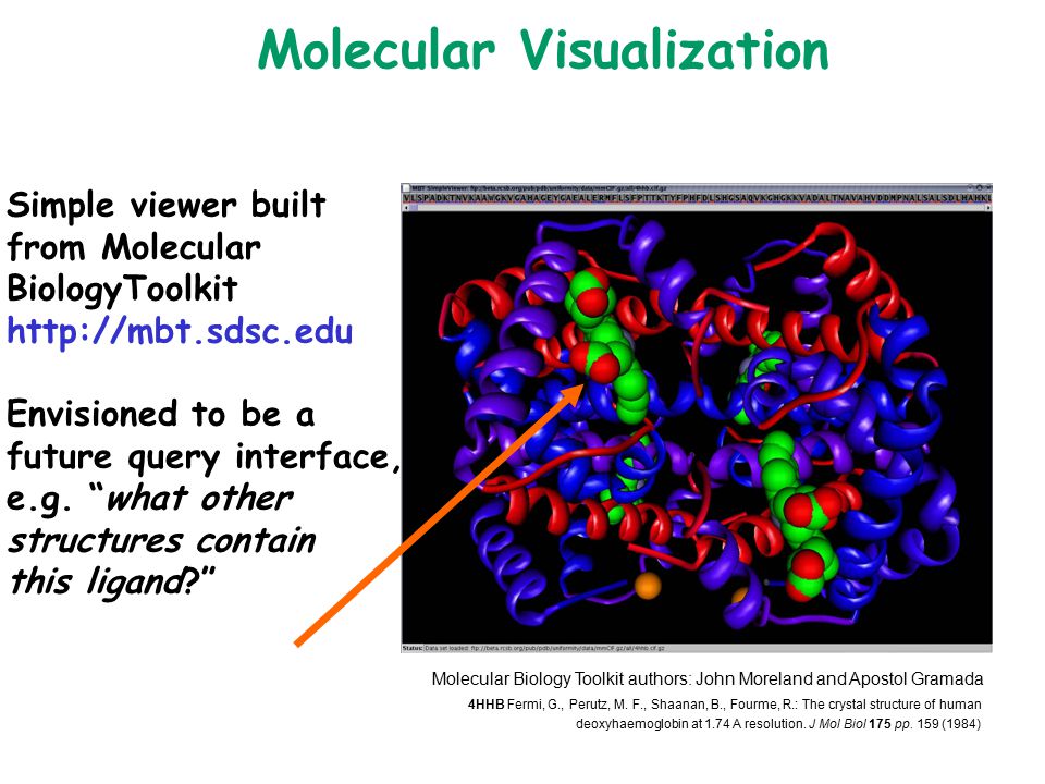 Molecular Visualization Simple viewer built from Molecular BiologyToolkit   Envisioned to be a future query interface, e.g.