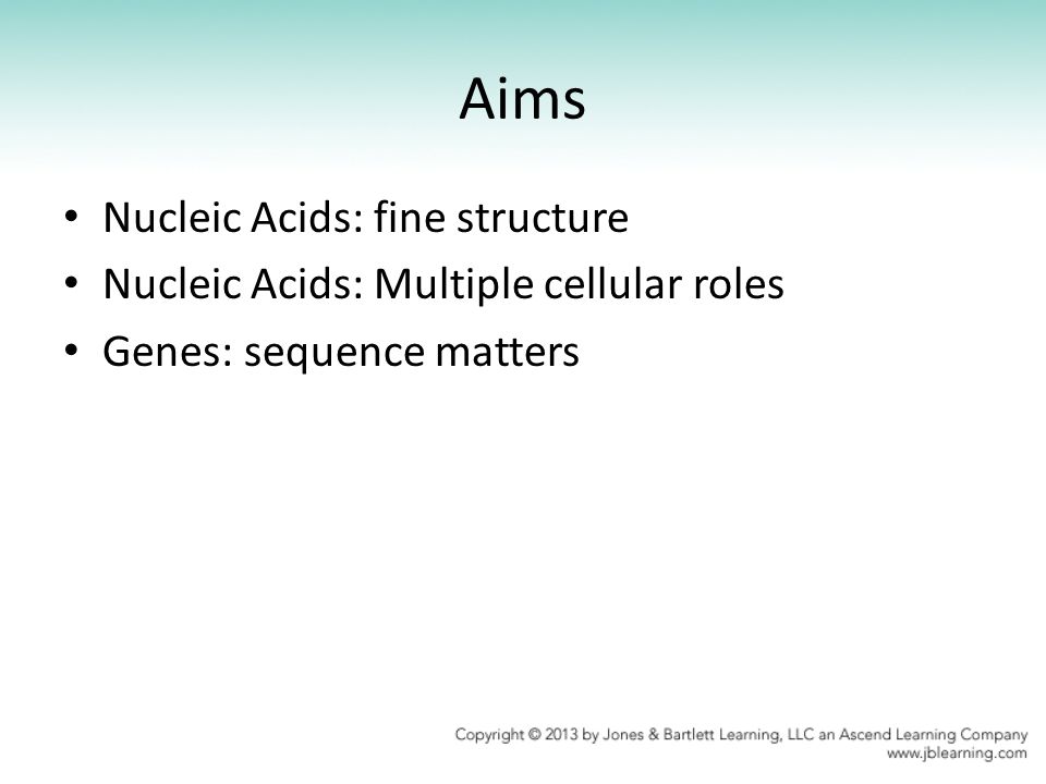 Aims Nucleic Acids: fine structure Nucleic Acids: Multiple cellular roles Genes: sequence matters