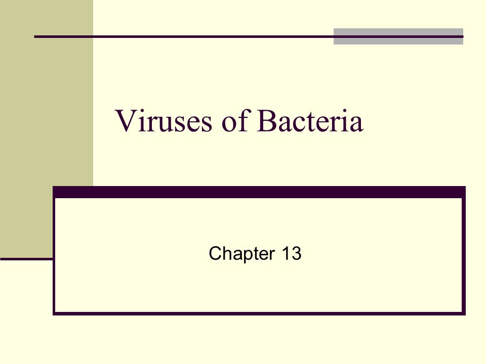 Viruses of Bacteria Chapter 13