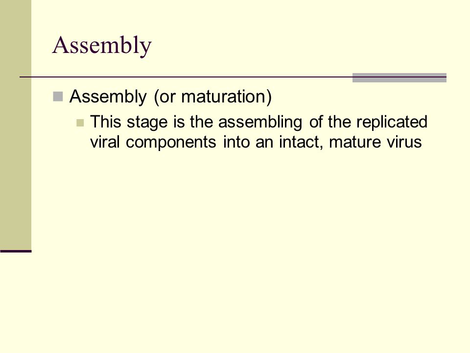 Assembly Assembly (or maturation) This stage is the assembling of the replicated viral components into an intact, mature virus