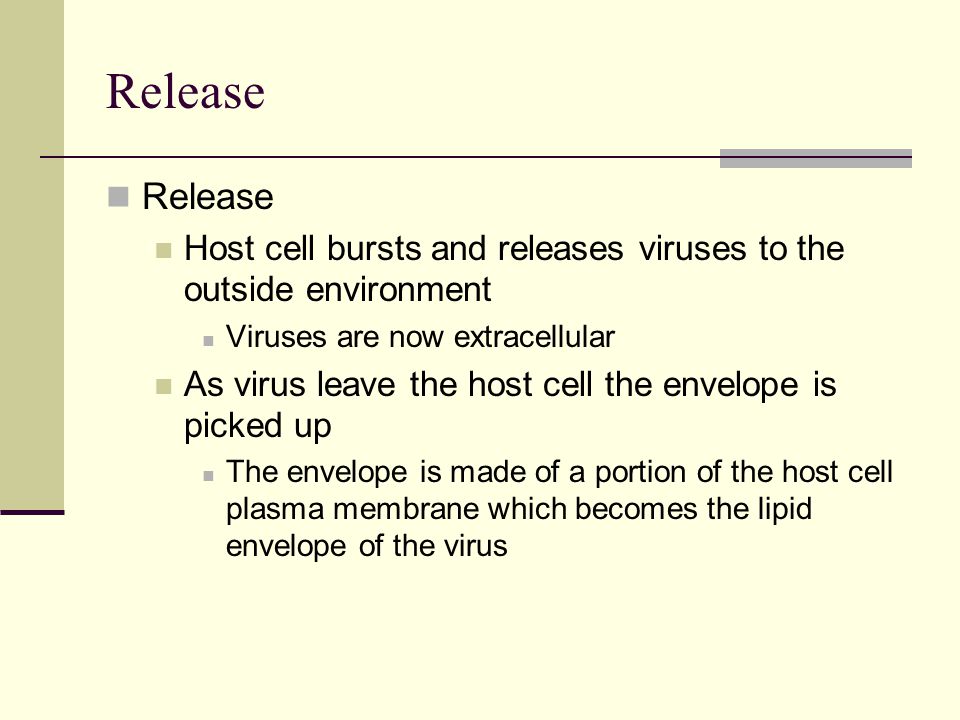 Release Host cell bursts and releases viruses to the outside environment Viruses are now extracellular As virus leave the host cell the envelope is picked up The envelope is made of a portion of the host cell plasma membrane which becomes the lipid envelope of the virus