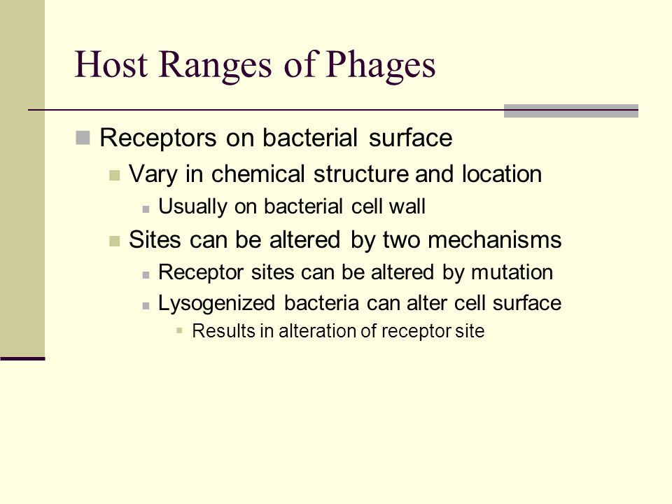 Receptors on bacterial surface Vary in chemical structure and location Usually on bacterial cell wall Sites can be altered by two mechanisms Receptor sites can be altered by mutation Lysogenized bacteria can alter cell surface  Results in alteration of receptor site Host Ranges of Phages