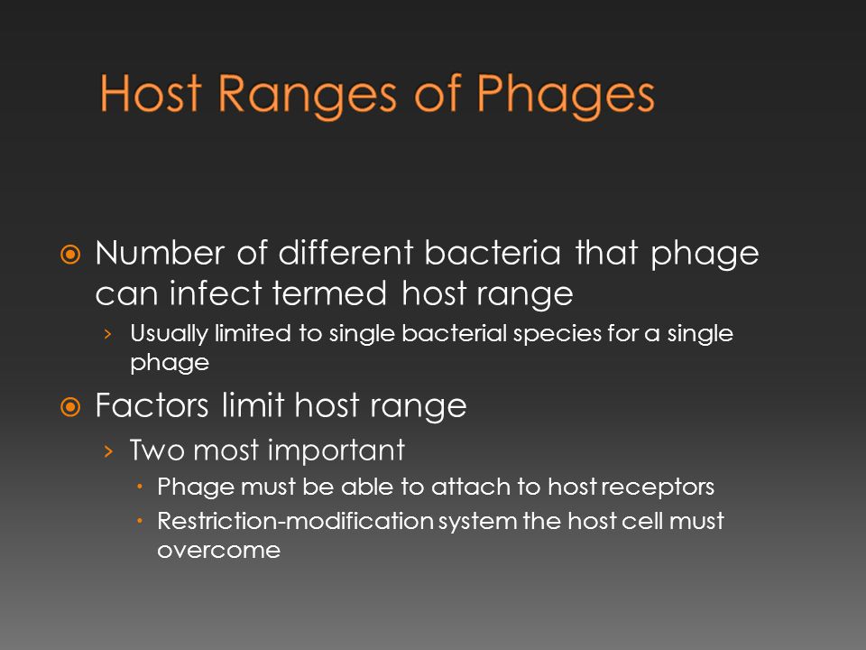  Number of different bacteria that phage can infect termed host range › Usually limited to single bacterial species for a single phage  Factors limit host range › Two most important  Phage must be able to attach to host receptors  Restriction-modification system the host cell must overcome
