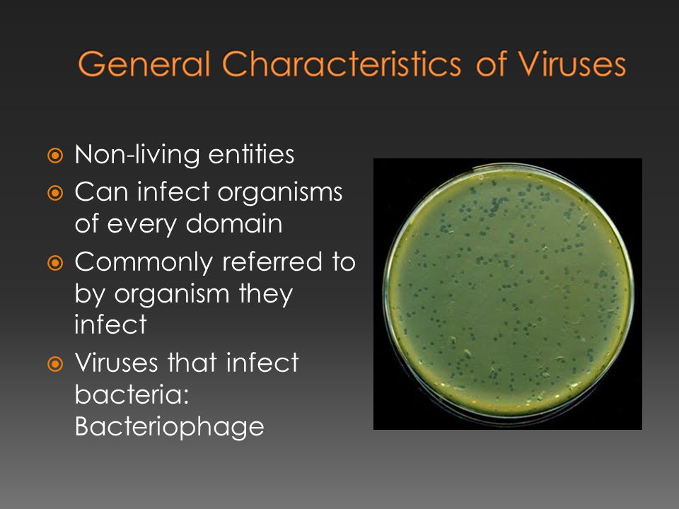  Non-living entities  Can infect organisms of every domain  Commonly referred to by organism they infect  Viruses that infect bacteria: Bacteriophage