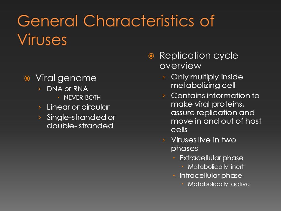  Viral genome › DNA or RNA  NEVER BOTH › Linear or circular › Single-stranded or double- stranded  Replication cycle overview › Only multiply inside metabolizing cell › Contains information to make viral proteins, assure replication and move in and out of host cells › Viruses live in two phases  Extracellular phase  Metabolically inert  Intracellular phase  Metabolically active