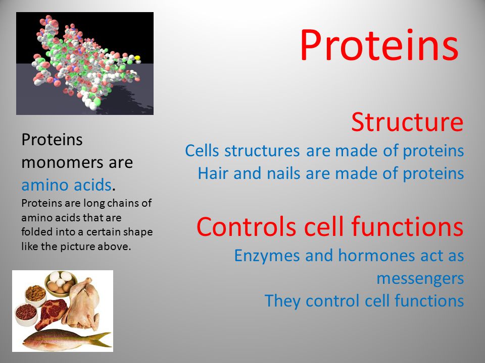 Proteins Structure Cells structures are made of proteins Hair and nails are made of proteins Controls cell functions Enzymes and hormones act as messengers They control cell functions Proteins monomers are amino acids.