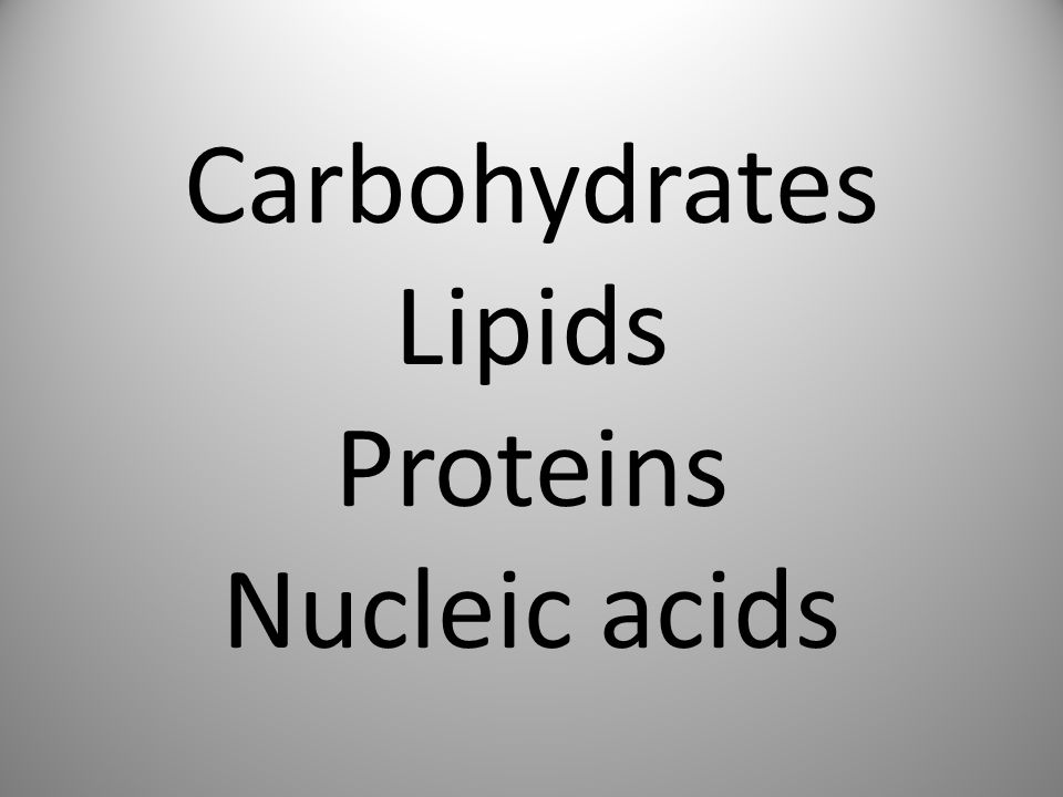 Carbohydrates Lipids Proteins Nucleic acids