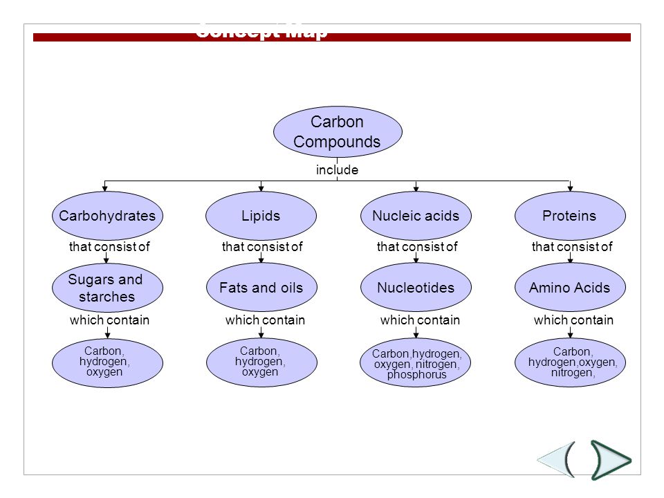 Carbon Compounds include that consist of which contain that consist of which contain Section 2-3 Concept Map CarbohydratesLipidsNucleic acidsProteins Sugars and starches Fats and oilsNucleotidesAmino Acids Carbon, hydrogen, oxygen Carbon, hydrogen, oxygen Carbon,hydrogen, oxygen, nitrogen, phosphorus Carbon, hydrogen,oxygen, nitrogen,