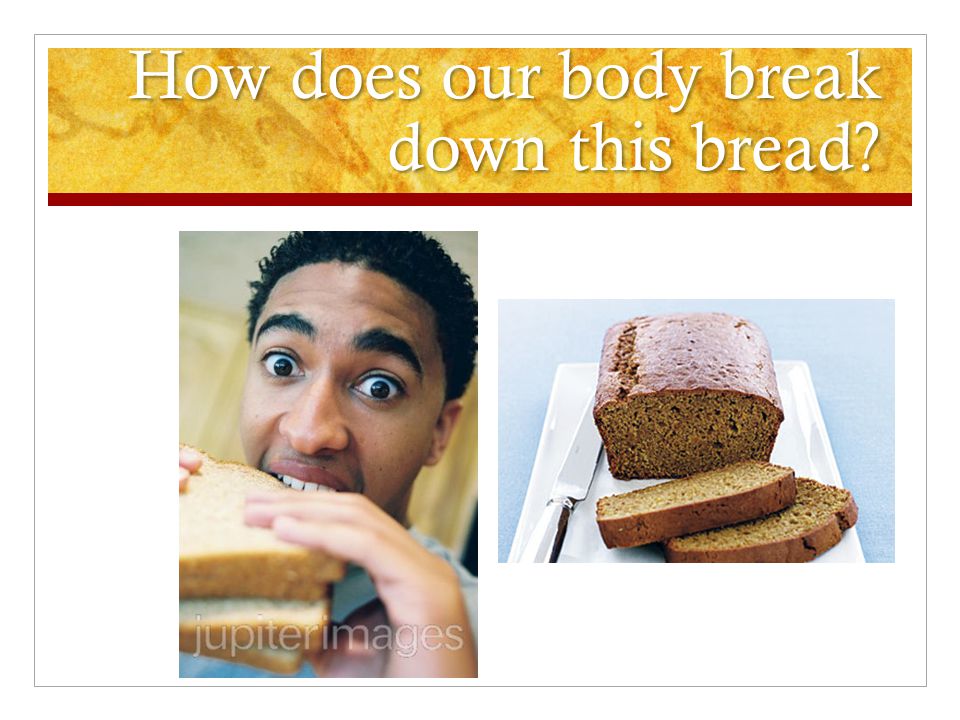 How does our body break down this bread