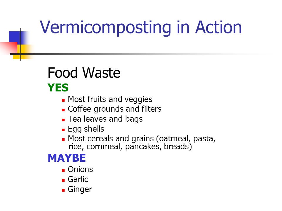 Vermicomposting in Action Food Waste YES Most fruits and veggies Coffee grounds and filters Tea leaves and bags Egg shells Most cereals and grains (oatmeal, pasta, rice, cornmeal, pancakes, breads) MAYBE Onions Garlic Ginger