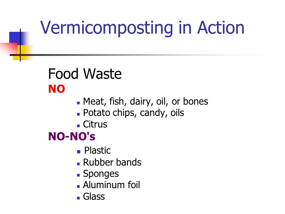 Vermicomposting in Action Food Waste NO Meat, fish, dairy, oil, or bones Potato chips, candy, oils Citrus NO-NO s Plastic Rubber bands Sponges Aluminum foil Glass