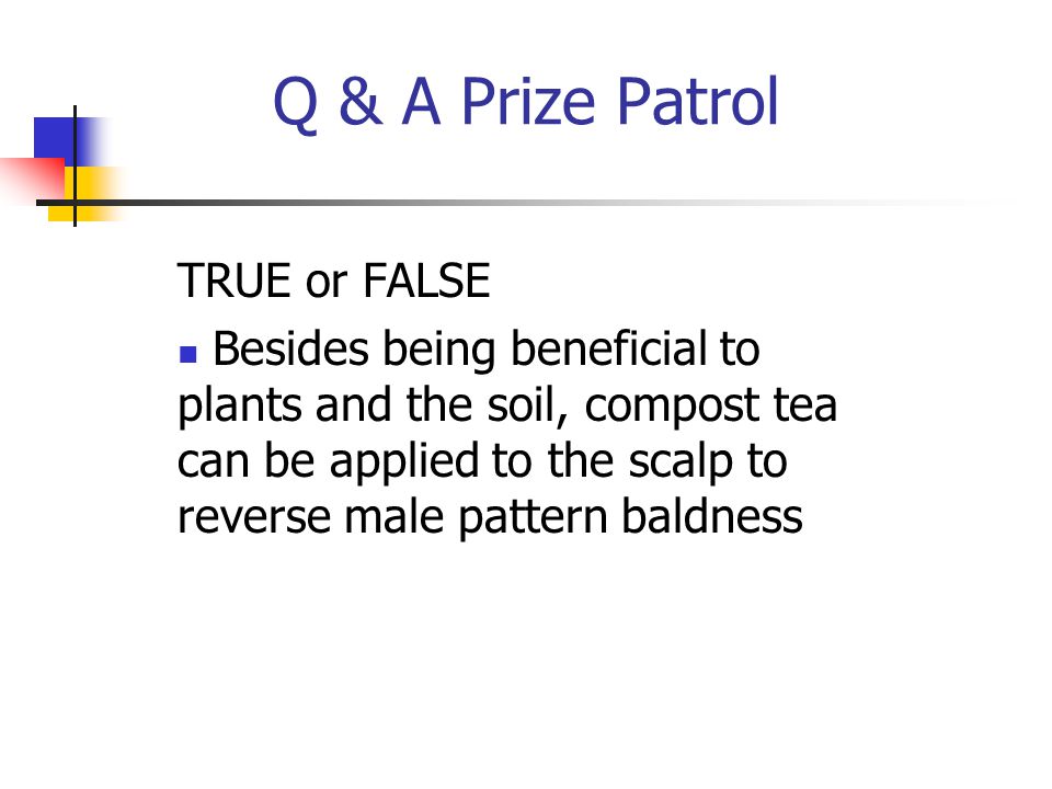 Q & A Prize Patrol TRUE or FALSE Besides being beneficial to plants and the soil, compost tea can be applied to the scalp to reverse male pattern baldness