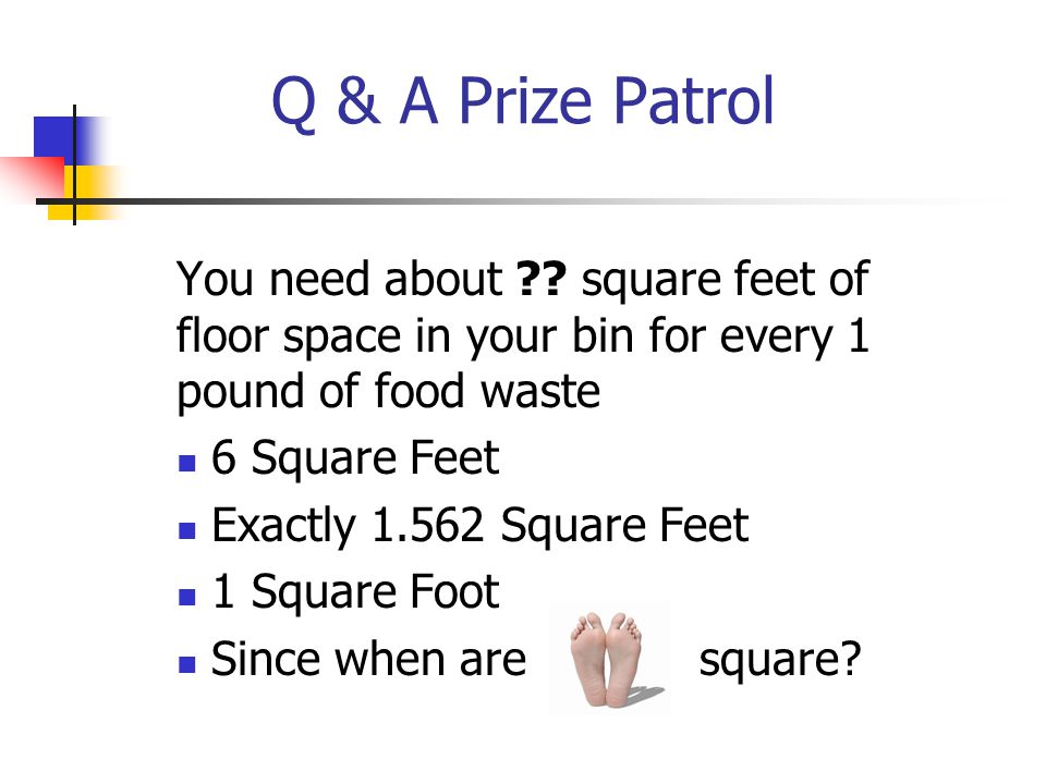 Q & A Prize Patrol You need about .