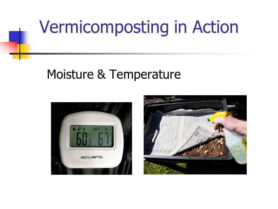 Vermicomposting in Action Moisture & Temperature