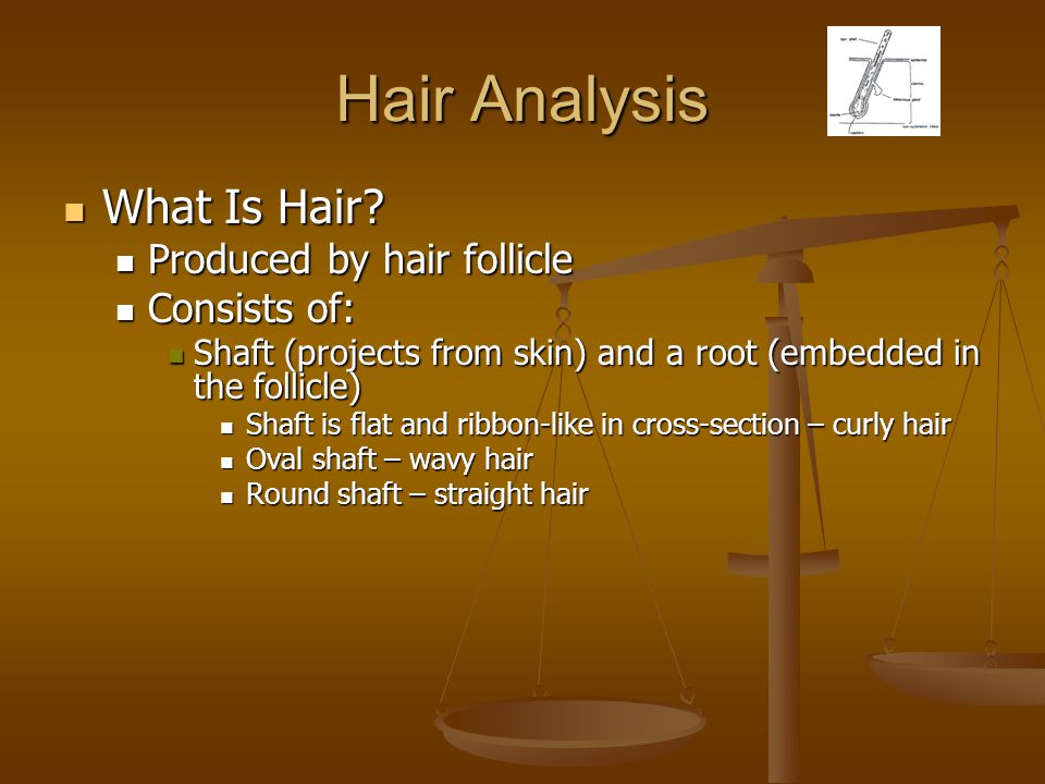 Forensic Lab Investigations. Hair Analysis What Is Hair? What Is Hair?  Produced by hair follicle Produced by hair follicle Consists of: Consists  of: Shaft. - ppt download