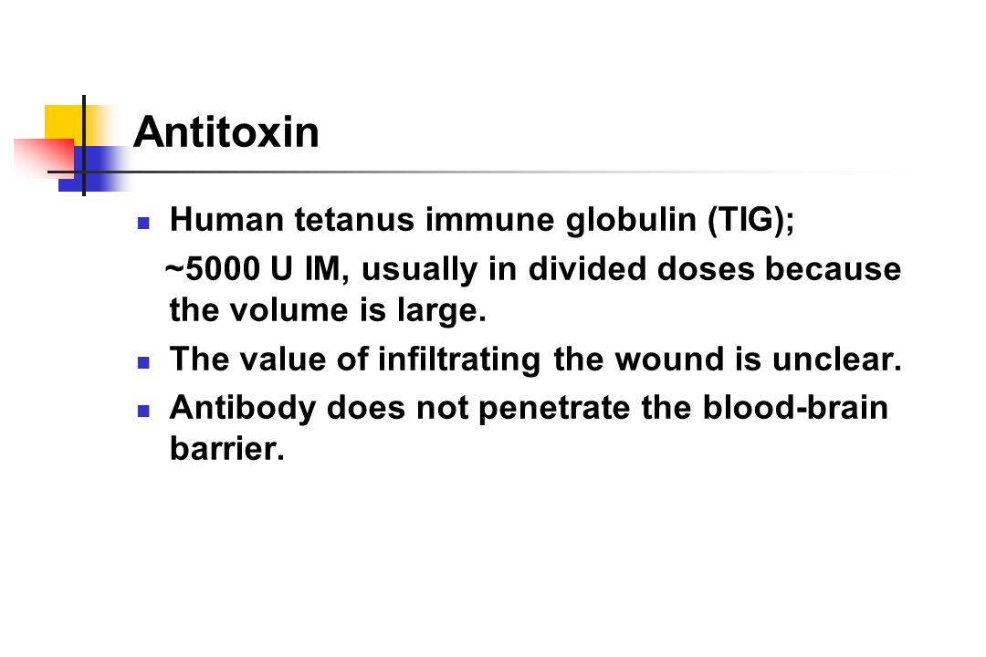 Antitoxin Human tetanus immune globulin (TIG); ~5000 U IM, usually in divided doses because the volume is large.