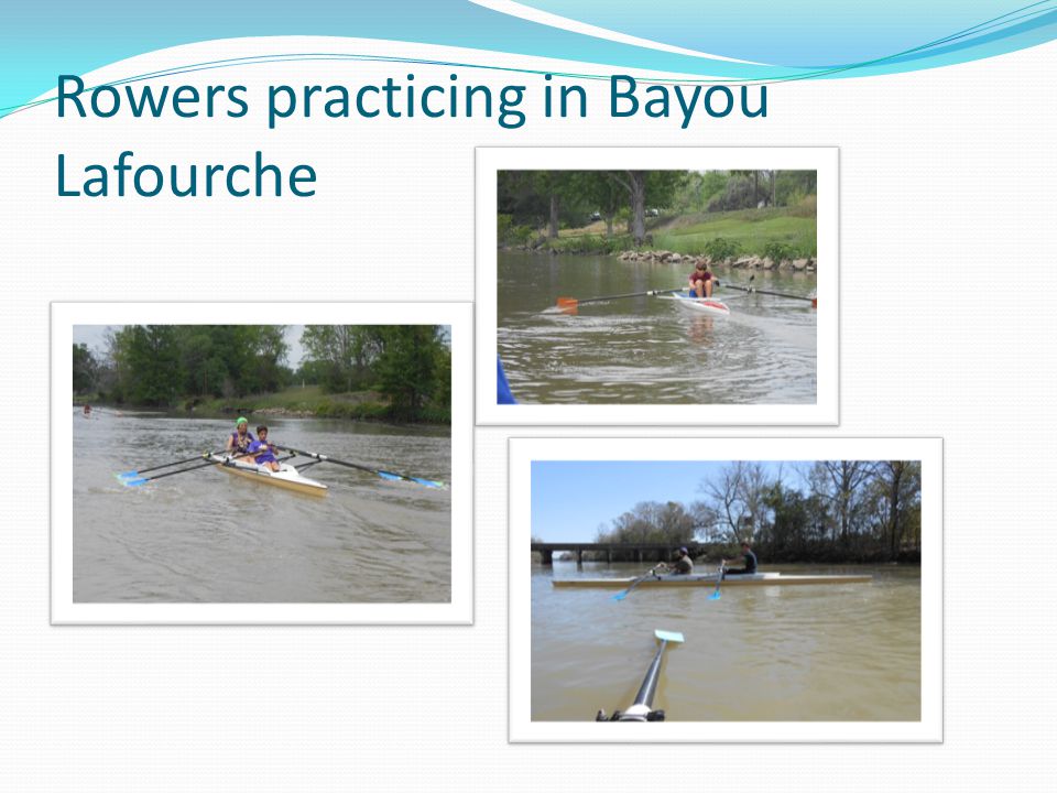 Rowers practicing in Bayou Lafourche