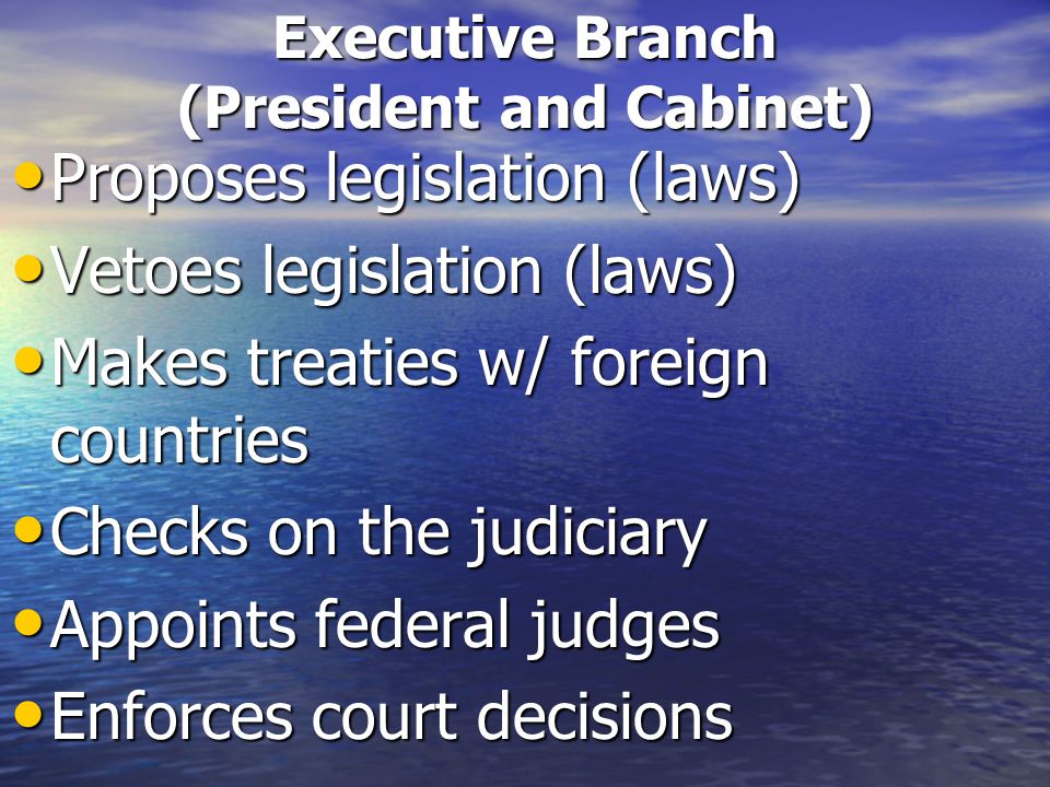 Executive Branch (President and Cabinet) Proposes legislation (laws) Proposes legislation (laws) Vetoes legislation (laws) Vetoes legislation (laws) Makes treaties w/ foreign countries Makes treaties w/ foreign countries Checks on the judiciary Checks on the judiciary Appoints federal judges Appoints federal judges Enforces court decisions Enforces court decisions