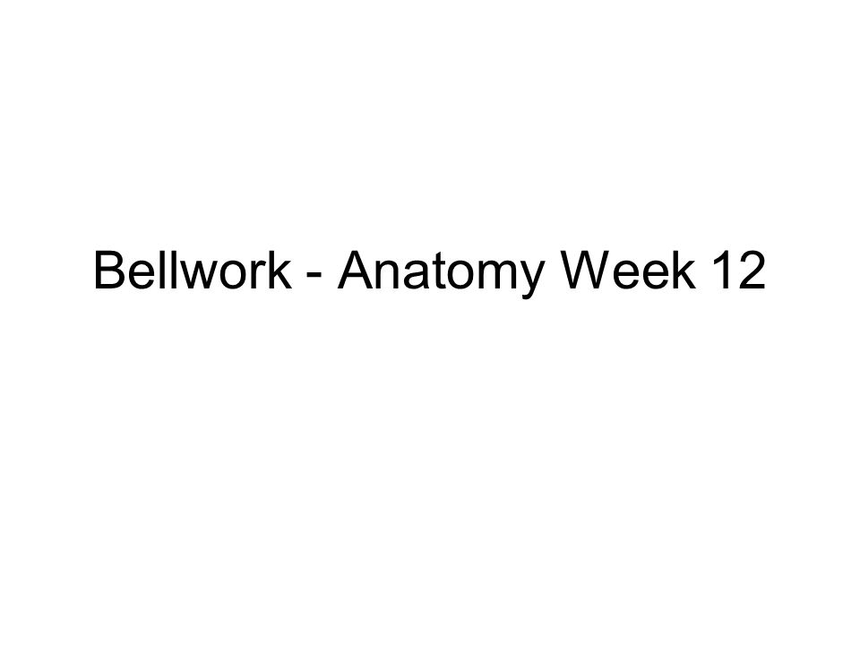 Bellwork - Anatomy Week 12